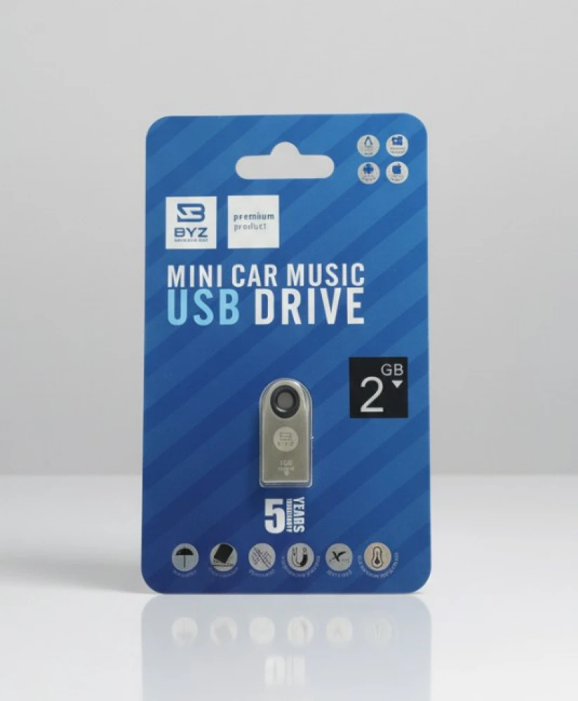 USB-флешка BYZ Mini Car Music 2GB