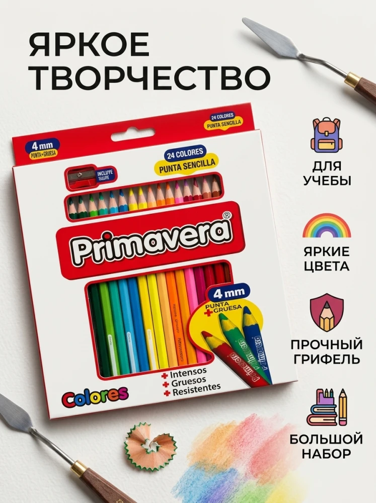 Цветные карандаши Primavera, 24 цвета, утолщенный грифель 4 мм, с точилкой